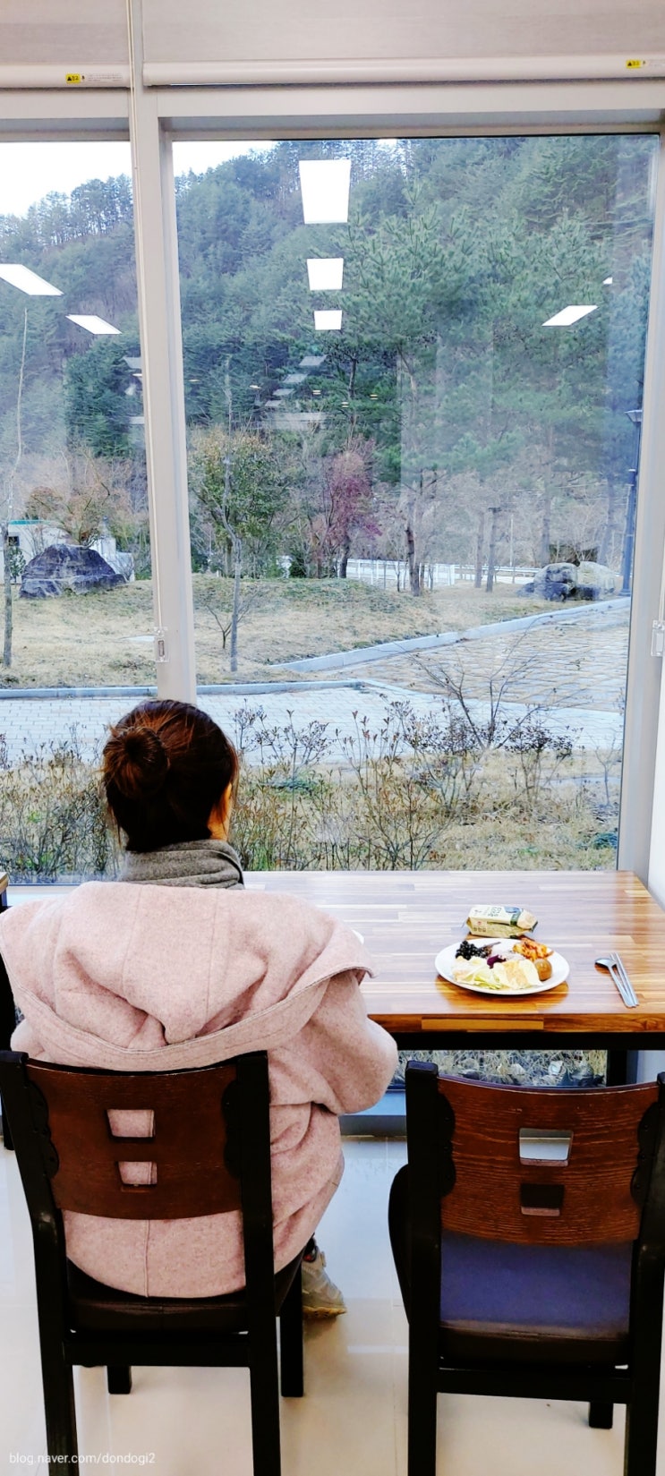 울진 금강송에코리움 웰니스 프로그램 : 네이버 블로그