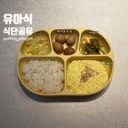 [유아식 식단] 3살아기 식단 / 4살아기 식단 / 40ㄱㅐ월아기 반찬 / 아기 현실 식단