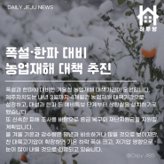 하루방앱 - 11월 28일 제주뉴스