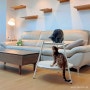 고양이해먹 밀리옹 캣가구 포근한 침대 의자