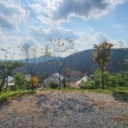 포천 연지곤지팜캠핑장 광릉수목원 산책 하기 좋은곳