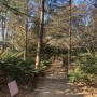 벽초지수목원 겨울 걷기좋은산책로 경기도 수모원 추천 커플데이트 숲속길 가족나들이
