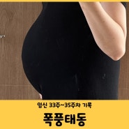 [妊娠日記] 임신 9개월 폭풍 태동 (feat. 잠 못 이루는 밤) 33주~35주차 기록