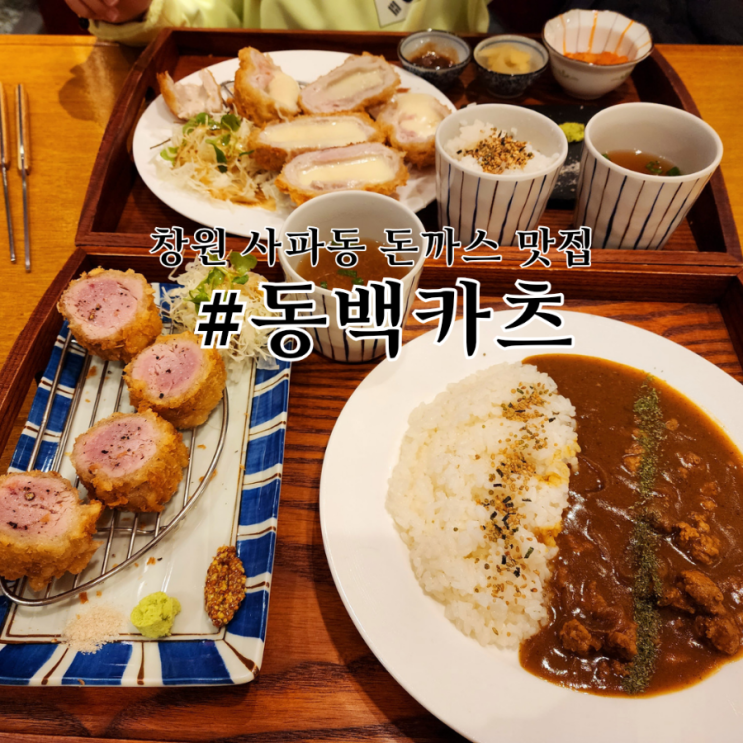 창원 사파동 돈까스 맛집 동백카츠 사파점