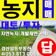 경산농지초급매-금구리.주거지역인접. 위치좋은 농지.개발제한구역 자연녹지.약1800평.경산대임지구/대구연호지구/대구대공원/대구알파시티 대토추천.경산땅투자.경산일등부동산