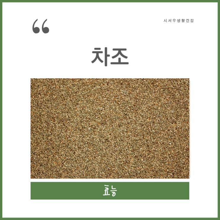 조 차조효능에 대해서 알아보자 차조밥 메조 : 네이버 블로그