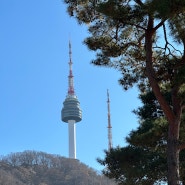 서울 남산타워 가는법 전망대 주차 가격 꿀팁공개(케이블카)