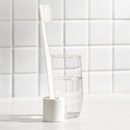 The Aseptic Toothbrush
