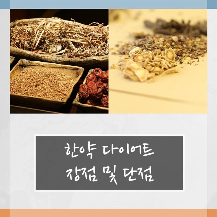 한약 다이어트 장점 및 단점 : 네이버 블로그
