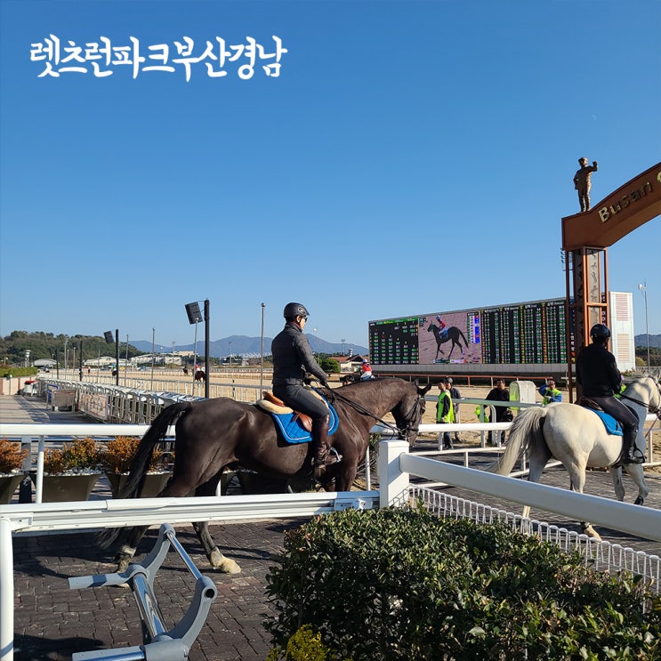 렛츠런파크 부산 경마공원 시간 입장료 놀거리 이색 데이트코스