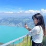 2022 유럽여행✈ 스위스여행 루체른여행 Rigi 리기산 스위스패스 무료 이용법(유람선 산악열차 케이블카) 리기산 하이킹 코스 추천