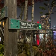 서울 저녁에 애견동반 산책하기 좋은 장소