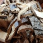 피나무 피나무껍질 효능 골수염에 좋은 한약재