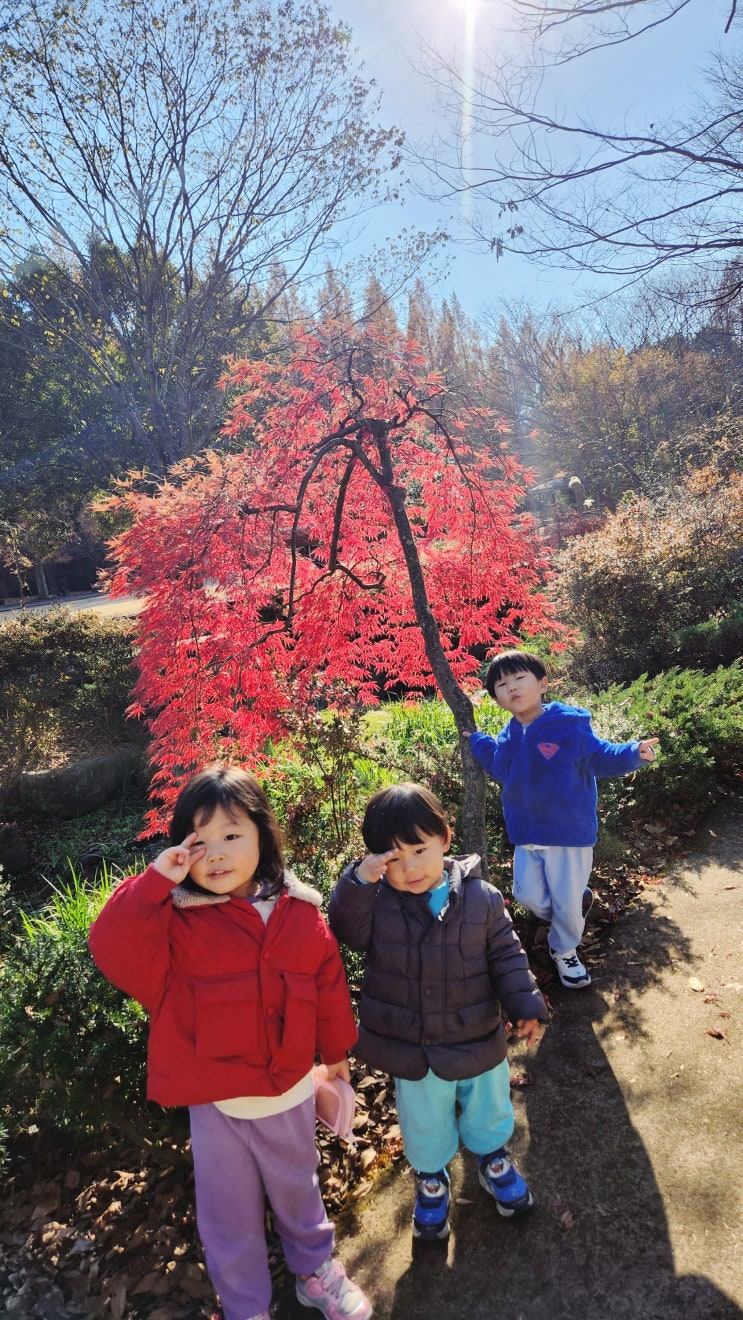 가을의 끝에서 진주 경상남도수목원 아이들과 가을즐기기
