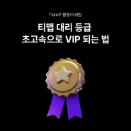 티맵 대리 등급 초고속으로 VIP 되는 법 [티맵활용미세팁 15]