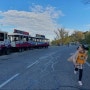 유럽여행 중인 아이 (6) - 스페인 톨레도대성당 톨레도 관광열차