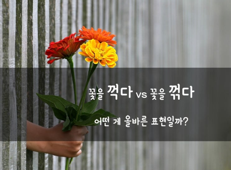 꺽다 꺾다 헷갈리는 맞춤법이지만 알고 보면 가장 쉬운 이유 : 네이버 블로그