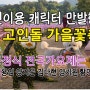 어린이용 캐릭터 만발한 화순 고인돌 가을꽃축제