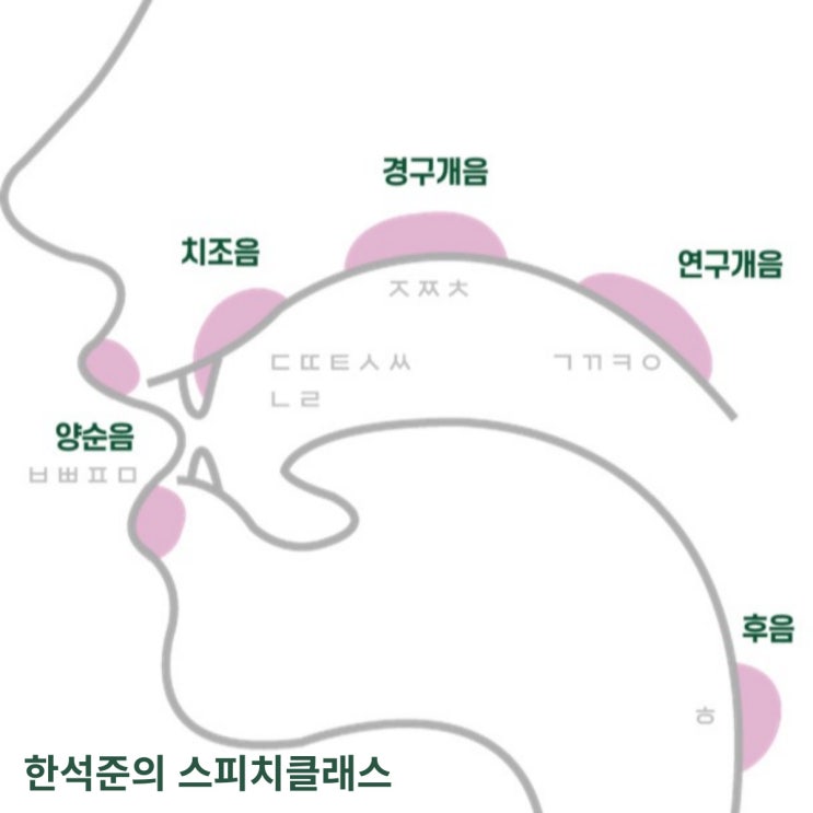 혀 짧은 소리를 내는 사람들은 정말 정확한 시옷 발음을 할 수 없는 것일까, 치조음의 문제를 해결할 수 있는 방법 : 네이버 블로그