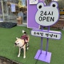 대전 관저동 24시 무인 반려용품점 “펫보라” 강아지랑 쇼핑하고 왔어요!