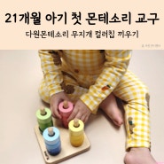 21개월 아기 첫 몬테소리 교구로 고른 다원몬테소리 무지개 컬러칩 끼우기 후기