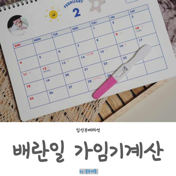 가임기계산 배란기 가임기뜻 증상, 배란일계산기 임신확률 : 네이버 블로그