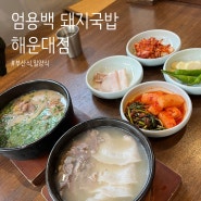 맛집 ) 따끈한 국밥 한그릇 엄용백 돼지국밥 해운대점