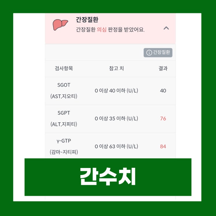간수치 ALT AST γ-GTP 정상범위 높은 이유 : 네이버 블로그