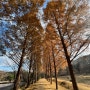 서울 근교 가볼만한 곳 물향기수목원 잔잔한 산책