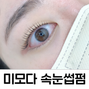 MIMODA eyeLashes Perm