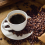 '브라운백 커피': 데이터 기반, 커피 구독 시장 1위!