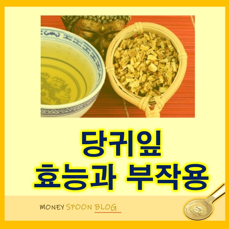 당귀 효능과 부작용 (ft, 당귀차, 당귀잎 은?) : 네이버 블로그