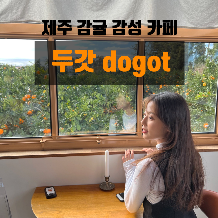 감귤밭 한가운데, 제주 감성 카페 '두갓 dogot' : 네이버 블로그