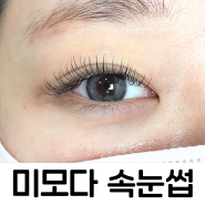 MIMODA Eyelash Extentions