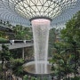 싱가포르 창이공항 3터미널에서 주얼창이(Jewel Changi ) 가는 법 +스타벅스+면세점 바차커피(BACHA COFFEE)