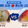 예쁜 사과 vs 못난이 사과