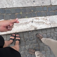 [로마여행] 걸어서 첫 번째 콜로세움, 우리는 콜로세움을 몇 번 갔을까? 로마의 식수대 / 아이스크림 가게