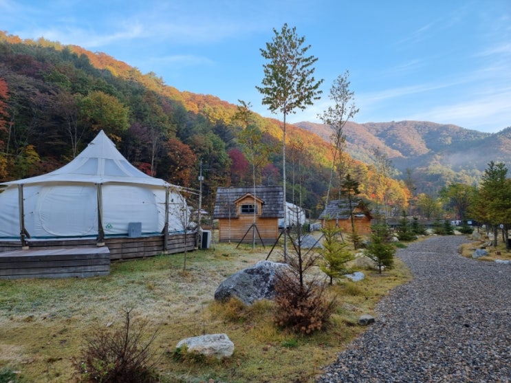 10월 내돈내산 라플란드 캠핑장 프라이빗 오토캠핑 개별 화장실