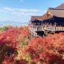 오사카, 교토 여행(2) - 오사카 갔다 한국 입국.. 그리고 출근..! (급한 정보!)