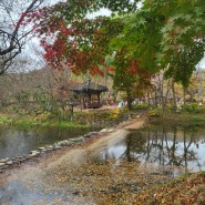 용인 한국민속촌으로 가을여행 , 여기 낙엽맛집
