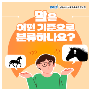 말은 어떤 기준으로 분류하나요?