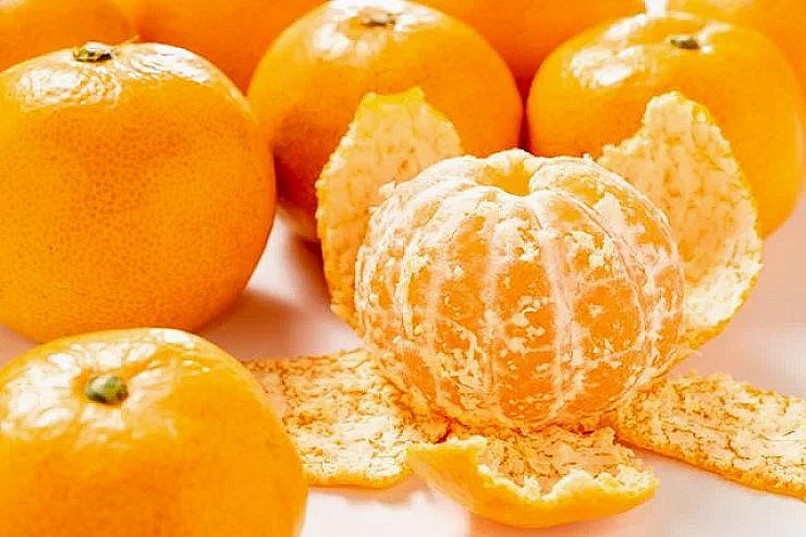 동의보감에서의 귤껍질(귤피ㆍ진피) 효능 : 네이버 블로그