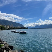 [스위스 인생여행지 몽트뢰] 스위스에서 꼭 가봐야할 곳. 호수가 가장 아름다운 곳 1등(레만호). 몽트뢰 유람선 시간표. 시옹성 포토스팟.