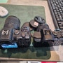 용산전자랜드 이전한 용산카메랴 샵 캐논 R6 중고카메라 구입 후기