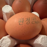 좋은계란고르는법 : 계란등급제 확인하는 방법 (1등급계란 후기)