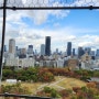 일본 오사카성 8층전망대에서 바라본 시내