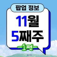 [혜자 팝업]11월 5째주 팝업 정보 정리 1탄