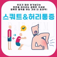 매교동헬스장 pt 맨몸스쿼트 자세 벗윙크