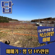【유곡동 토지매매】 대구한의대학교 인근 복숭아밭 약 830평 매매