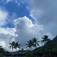 [하와이여행] 호놀룰루 한식집 / 추천 바다 카일루아 비치 / 쿠알로아렌치